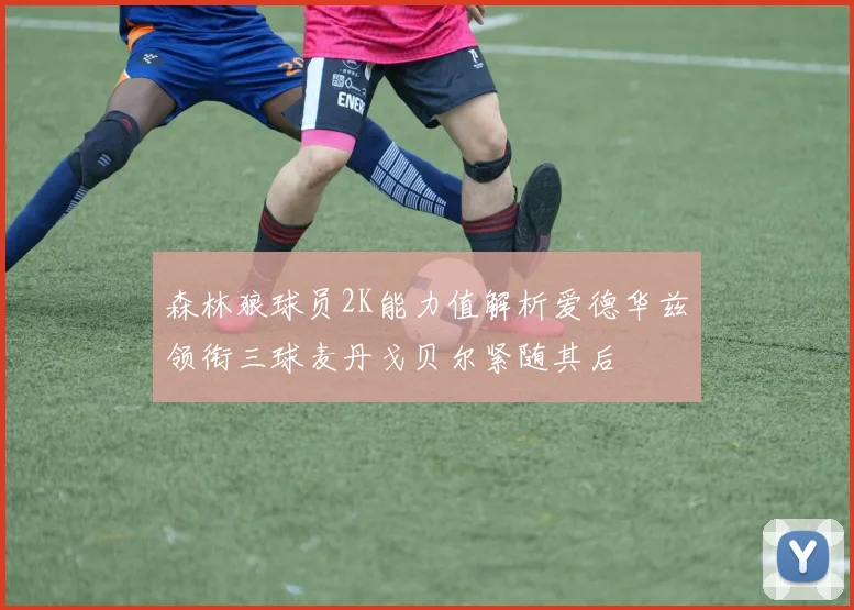 森林狼球员2K能力值解析爱德华兹领衔三球麦丹戈贝尔紧随其后